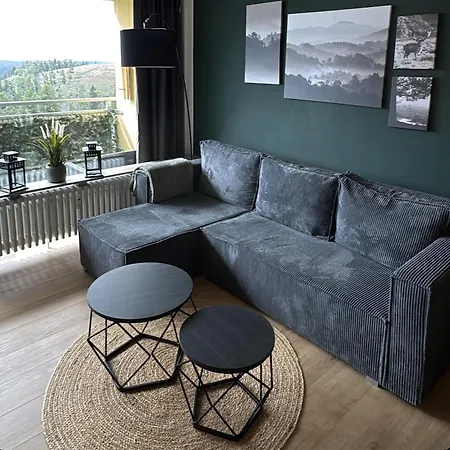 Platzhirsch 314 Im Harz Mit Pool&sauna In Braunlage-hohegeiß