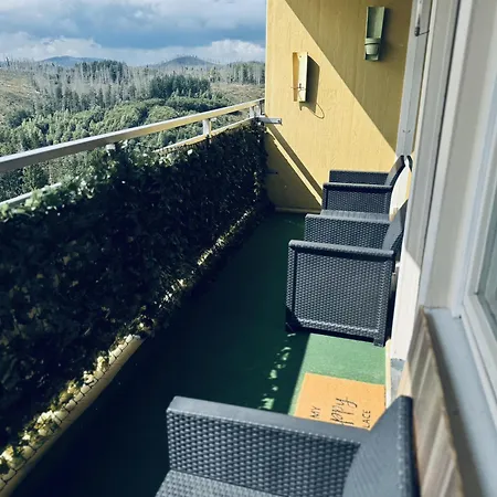 Platzhirsch 314 Im Harz Mit Pool&sauna In Braunlage-hohegeiß Braunlage