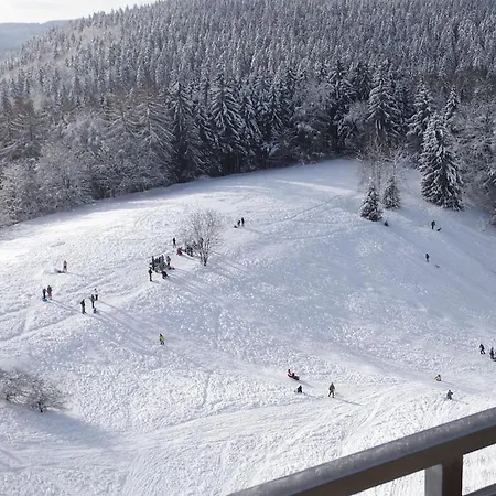 Platzhirsch 314 Im Harz Mit Pool&sauna In Braunlage-hohegeiß *