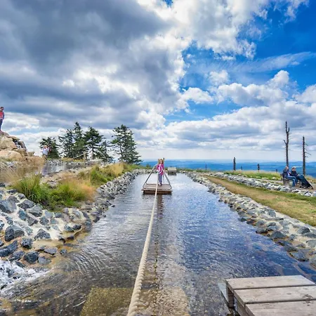 Platzhirsch 314 Im Harz Mit Pool & Sauna In Braunlage-hohegeiss 아파트 *