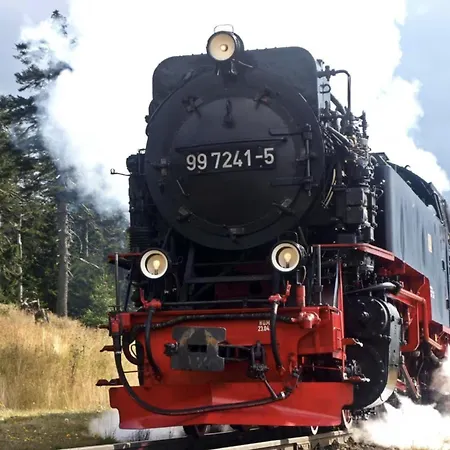 Platzhirsch 314 Im Harz Mit Pool&sauna In Braunlage-hohegeiß Braunlage