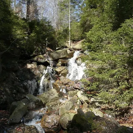 Platzhirsch 314 Im Harz Mit Pool & Sauna In Braunlage-hohegeiss 아파트 브라운라제