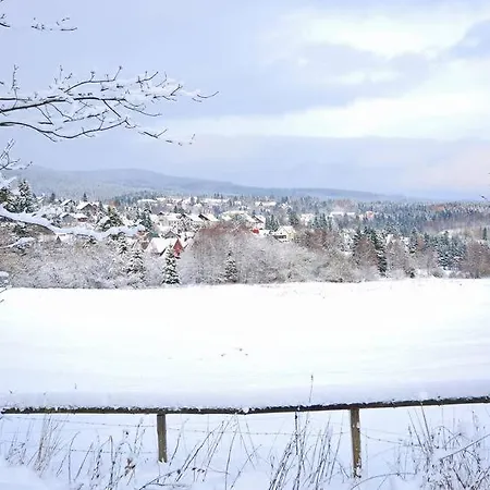Apartmán Platzhirsch 314 Im Harz Mit Pool, Sauna & Schoener Aussicht In Braunlage-hohegeiss