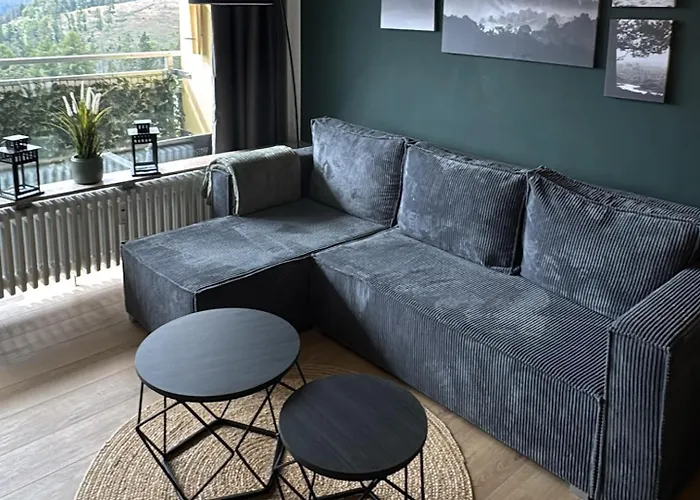 Platzhirsch 314 Im Harz Mit Pool & Sauna In Braunlage-hohegeiss