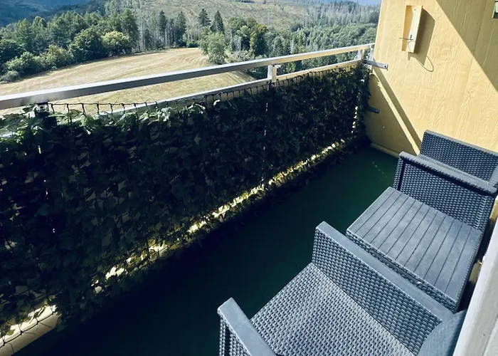 Platzhirsch 314 Im Harz Mit Pool & Sauna In Braunlage-hohegeiss Braunlage