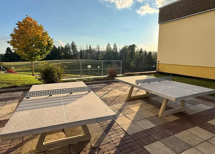 Daire Platzhirsch 314 Im Harz Mit Pool & Sauna In Braunlage-hohegeiss