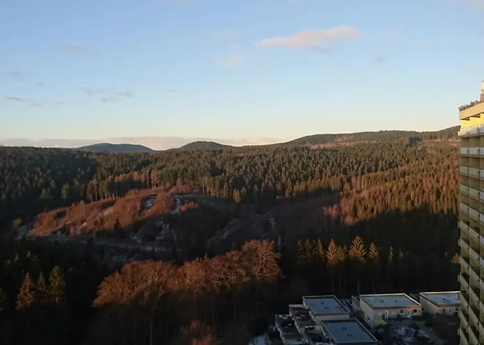 Platzhirsch 314 Im Harz Mit Pool & Sauna In Braunlage-hohegeiss * Braunlage