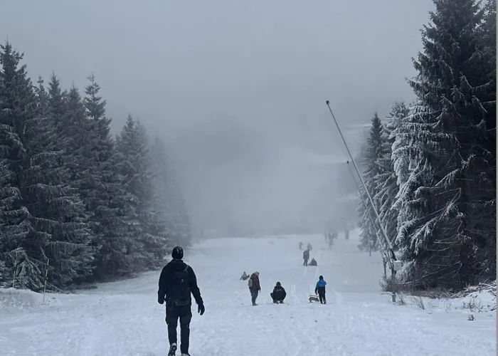 Platzhirsch 314 Im Harz Mit Pool & Sauna In Braunlage-hohegeiss Daire Braunlage