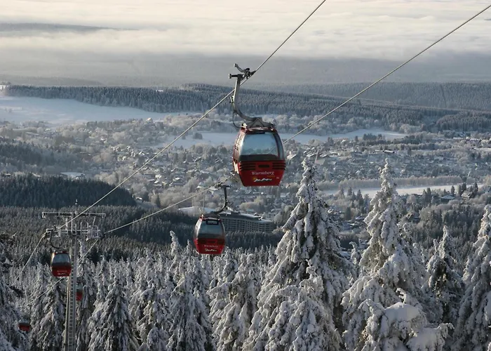 Platzhirsch 314 Im Harz Mit Pool & Sauna In Braunlage-hohegeiss
