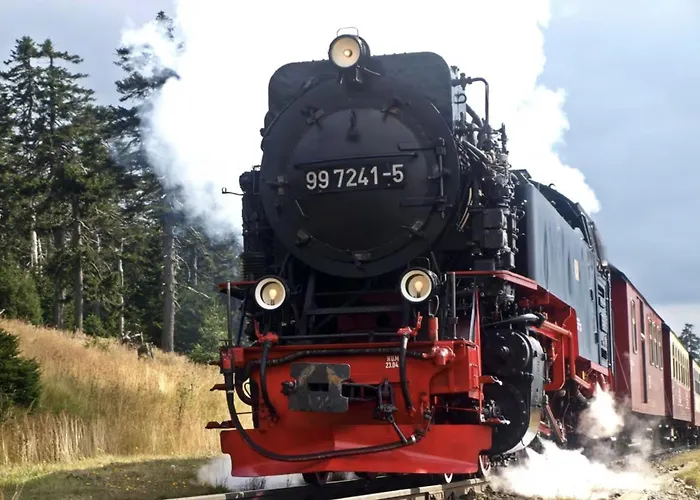Platzhirsch 314 Im Harz Mit Pool & Sauna In Braunlage-hohegeiss Braunlage