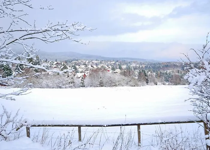 Apartman Platzhirsch 314 Im Harz Mit Pool & Sauna In Braunlage-hohegeiss